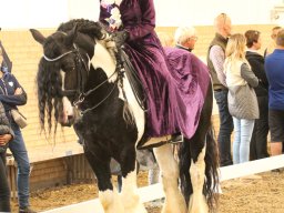 IMG_5417_web